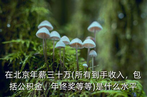 在北京年薪三十萬(所有到手收入，包括公積金、年終獎等等)是什么水平