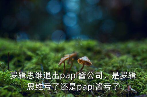 羅輯思維退出papi醬公司，是羅輯思維虧了還是papi醬虧了