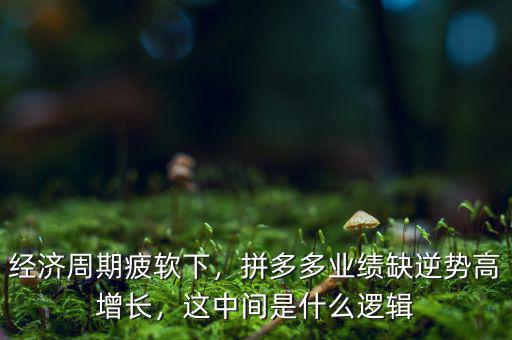 經(jīng)濟(jì)周期疲軟下，拼多多業(yè)績(jī)?nèi)蹦鎰?shì)高增長，這中間是什么邏輯