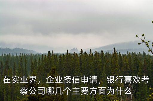 在實(shí)業(yè)界，企業(yè)授信申請(qǐng)，銀行喜歡考察公司哪幾個(gè)主要方面為什么