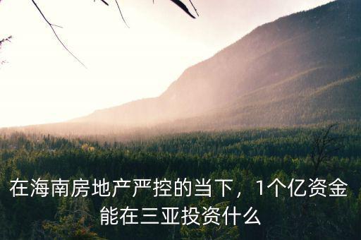 在海南房地產(chǎn)嚴(yán)控的當(dāng)下，1個(gè)億資金能在三亞投資什么