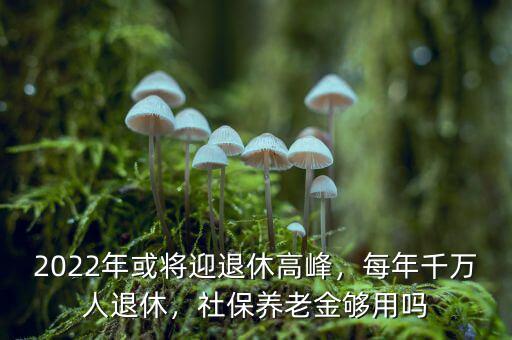 2022年或?qū)⒂诵莞叻?，每年千萬(wàn)人退休，社保養(yǎng)老金夠用嗎