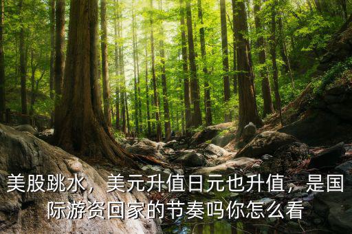 美股跳水，美元升值日元也升值，是國際游資回家的節(jié)奏嗎你怎么看