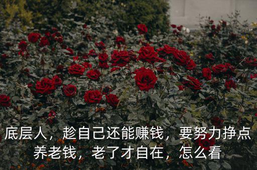 底層人，趁自己還能賺錢，要努力掙點養(yǎng)老錢，老了才自在，怎么看