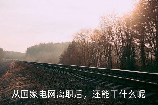 從國家電網(wǎng)離職后，還能干什么呢