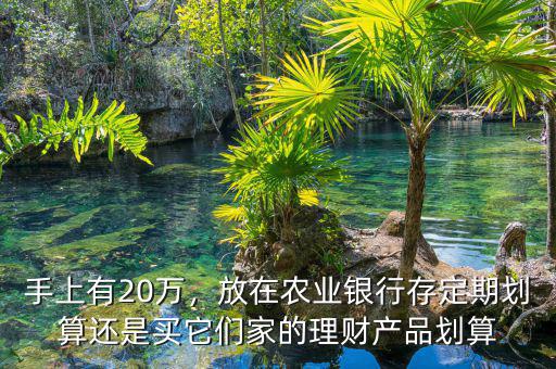 手上有20萬，放在農(nóng)業(yè)銀行存定期劃算還是買它們家的理財(cái)產(chǎn)品劃算