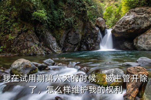 我在試用期第六天的時(shí)候，被主管開(kāi)除了，怎么樣維護(hù)我的權(quán)利