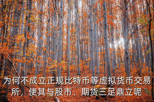 為何不成立正規(guī)比特幣等虛擬貨幣交易所，使其與股市、期貨三足鼎立呢