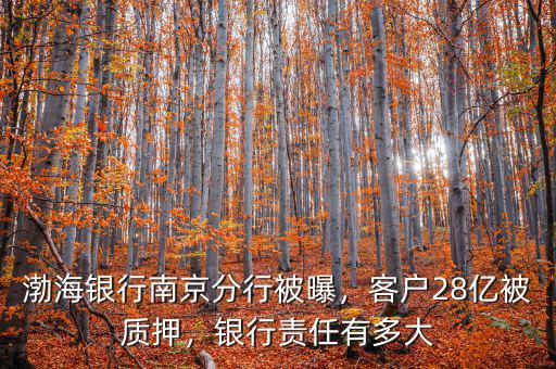 渤海銀行南京分行被曝，客戶28億被質(zhì)押，銀行責(zé)任有多大