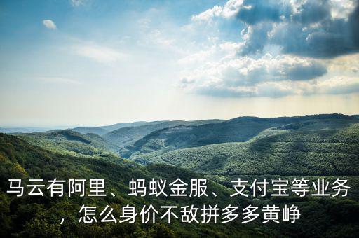 馬云有阿里、螞蟻金服、支付寶等業(yè)務(wù)，怎么身價(jià)不敵拼多多黃崢