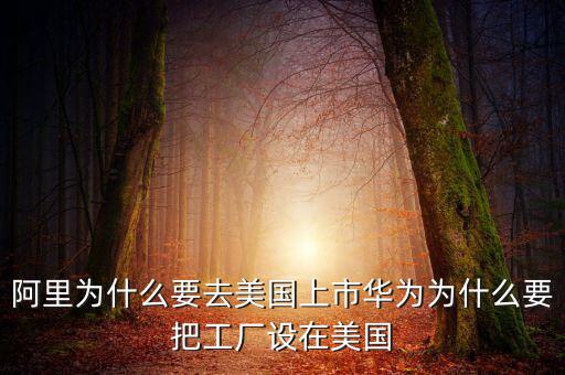阿里為什么不是外國公司,為什么會被說成是外國企業(yè)呢