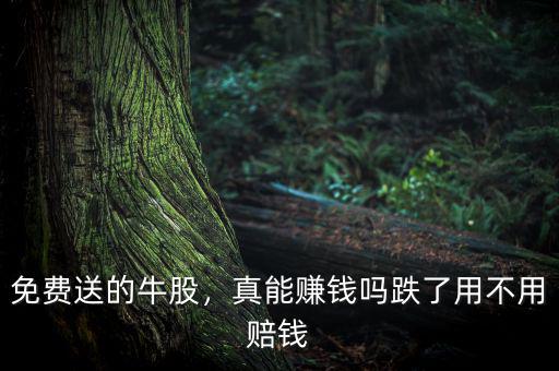 免費(fèi)送的牛股，真能賺錢嗎跌了用不用賠錢