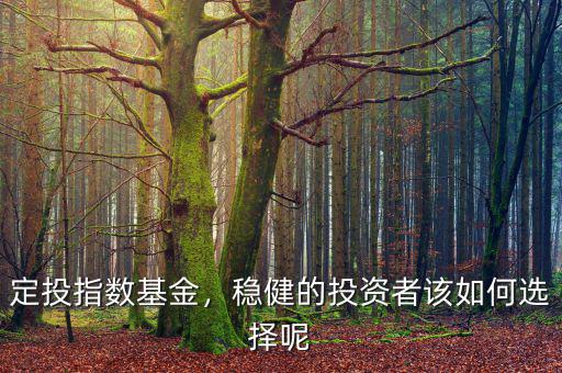 定投指數(shù)基金，穩(wěn)健的投資者該如何選擇呢