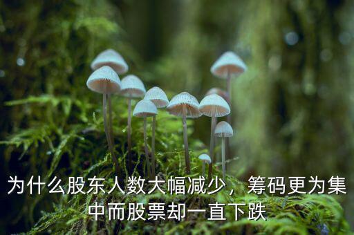 為什么股東人數(shù)大幅減少，籌碼更為集中而股票卻一直下跌