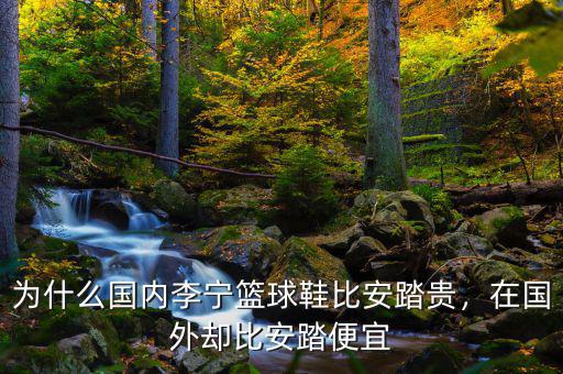 為什么國內李寧籃球鞋比安踏貴，在國外卻比安踏便宜