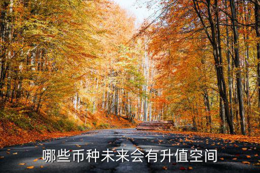 買什么數字升值幣升值空間大,哪個未來升值空間更大