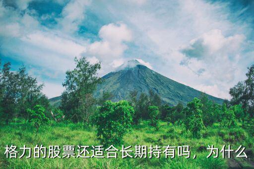 怎么買(mǎi)格力股票,格力股票如何