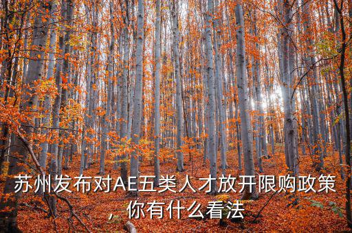 蘇州發(fā)布對(duì)AE五類人才放開限購政策，你有什么看法