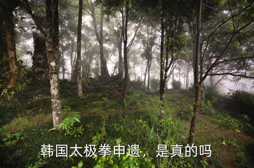 韓國(guó)太極拳申遺，是真的嗎