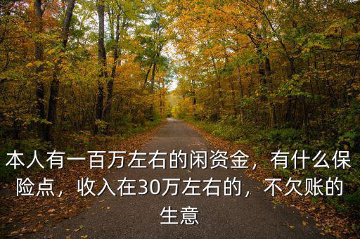 本人有一百萬(wàn)左右的閑資金，有什么保險(xiǎn)點(diǎn)，收入在30萬(wàn)左右的，不欠賬的生意