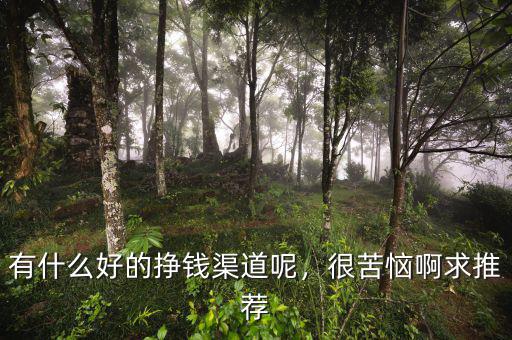 有什么好的掙錢渠道呢，很苦惱啊求推薦