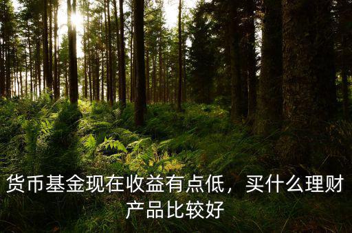 貨幣基金現(xiàn)在收益有點(diǎn)低，買什么理財(cái)產(chǎn)品比較好