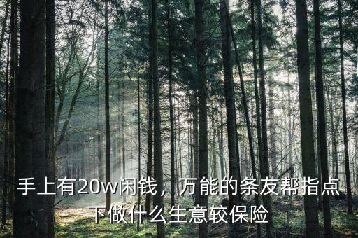 手上有20w閑錢，萬能的條友幫指點(diǎn)下做什么生意較保險