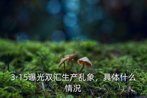 今年315曝光什么,3·15曝光雙匯生產亂象