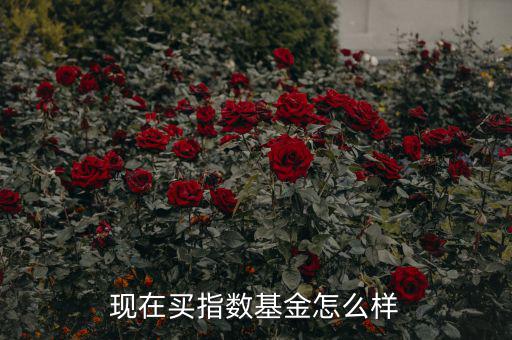 現(xiàn)在買指數(shù)基金怎么樣