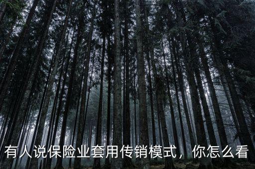 有人說(shuō)保險(xiǎn)業(yè)套用傳銷模式，你怎么看
