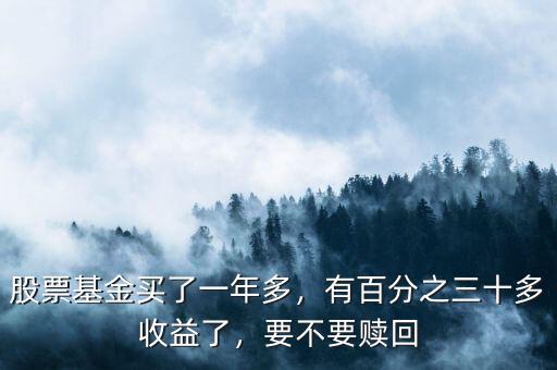 買(mǎi)股票基金一年后能有多少錢(qián),股票基金買(mǎi)了一年多