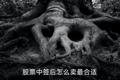 股票中簽后怎么賣(mài)最合適