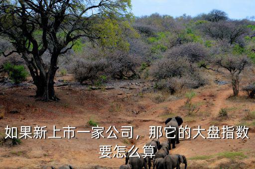 如果新上市一家公司，那它的大盤指數(shù)要怎么算
