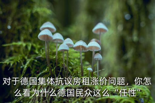 對于德國集體抗議房租漲價問題，你怎么看為什么德國民眾這么“任性”