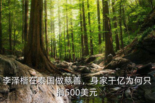 李澤楷在泰國(guó)做慈善，身家千億為何只捐500美元