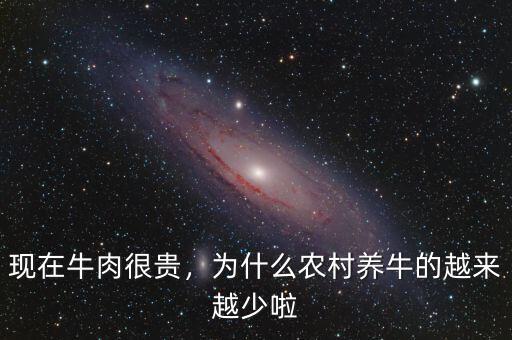 現在牛肉很貴，為什么農村養(yǎng)牛的越來越少啦