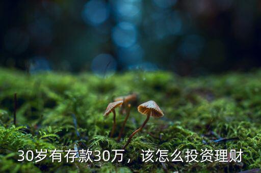 30歲有存款30萬(wàn)，該怎么投資理財(cái)