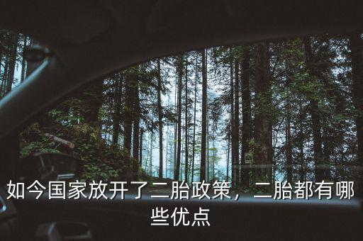 為什么放開二胎政策,如今國(guó)家放開了二胎政策