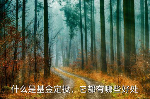 什么是基金定投，它都有哪些好處