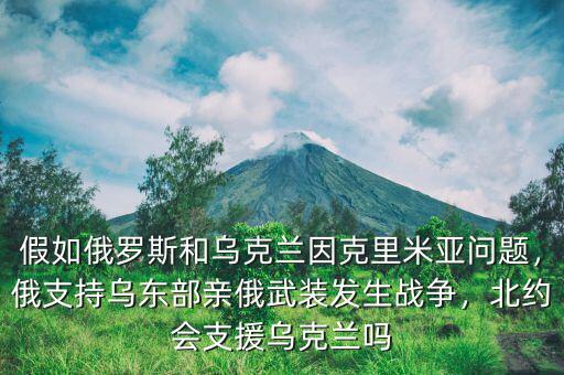 假如俄羅斯和烏克蘭因克里米亞問題，俄支持烏東部親俄武裝發(fā)生戰(zhàn)爭，北約會(huì)支援烏克蘭嗎