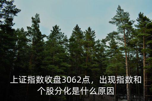 上證指數(shù)收盤3062點，出現(xiàn)指數(shù)和個股分化是什么原因