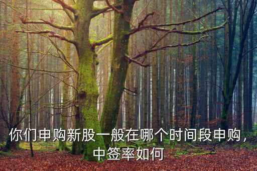 你們申購(gòu)新股一般在哪個(gè)時(shí)間段申購(gòu)，中簽率如何