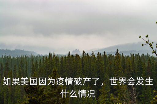 如果美國(guó)因?yàn)橐咔槠飘a(chǎn)了，世界會(huì)發(fā)生什么情況