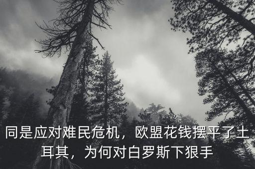什么是難民危機,同是應(yīng)對難民危機