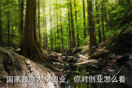 國(guó)家鼓勵(lì)大眾創(chuàng)業(yè)，你對(duì)創(chuàng)業(yè)怎么看