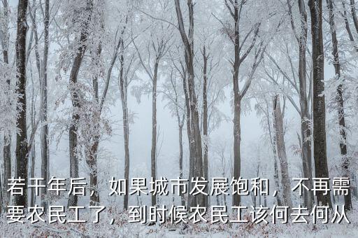 若干年后，如果城市發(fā)展飽和，不再需要農(nóng)民工了，到時(shí)候農(nóng)民工該何去何從