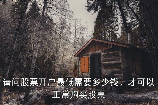 請問股票開戶最低需要多少錢，才可以正常購買股票