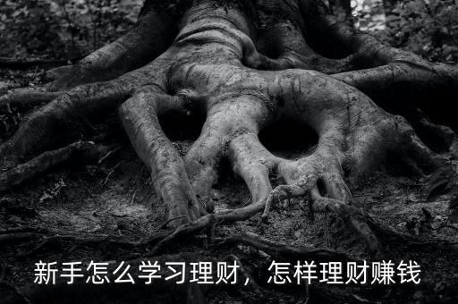 新手怎么學(xué)習(xí)理財(cái)，怎樣理財(cái)賺錢