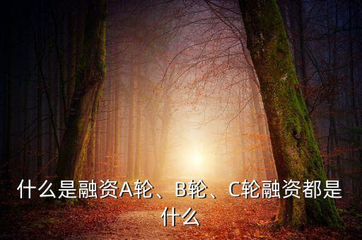 什么是融資A輪、B輪、C輪融資都是什么
