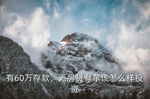 有60萬存款，無房貸有車該怎么樣投資